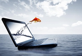 ����, ����, �������