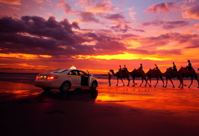 �����, �������, �����, ������, �������