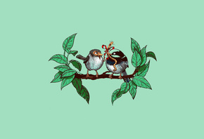 �����, ������, �������, �������, ����, ��������