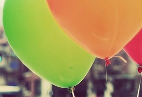 ������, ����, �����, ���������, ����