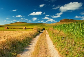 picture, nature, scenery, scenic, landscape, sky, blue, Byroad, field, view, scope