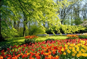 �����, ����, �������, ��������, �����, �������