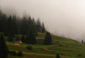 ���, �����, �������, ����, �����, ����