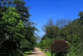 �������, ����, �����