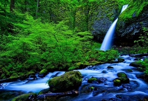 �������, �������, ���, ����