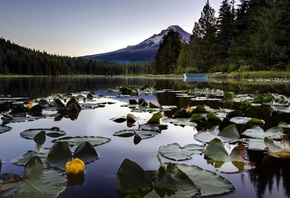 �������, �����, �����, ����