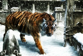 рендеринг, Тигр, идет, зима, снег