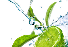 ����, ����, �����