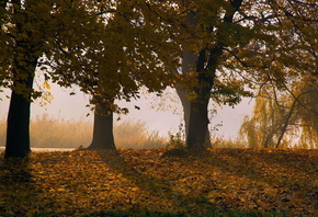 �������, �������, �����, ������