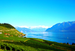 �������, ����, �����, ����, �����