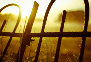 setting, fence, sunset, sun, yellow