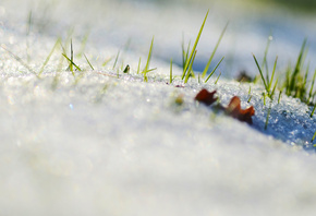 ����, �����, ������, �������, �����, �����, �����