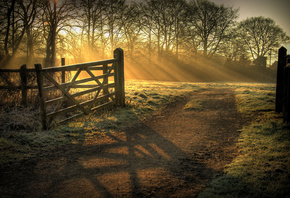 ����, ����, ����, �������