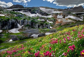 ����, ������, �����