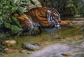 lee kromschroeder, painting, jungle, tiger river, tiger, thirsty