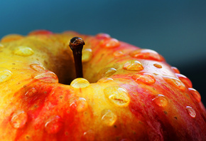 �����, �����, ������