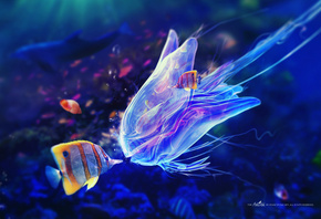 щупальца, медуза, рыбы, пузыри, Под водой, синева