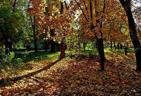 �����, �������, ����, ������, ������