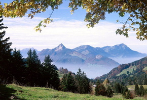 ���, ����, �������