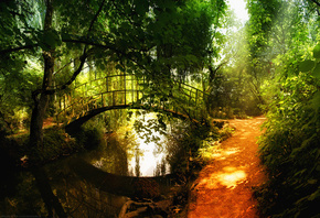 ��������, ������, �����