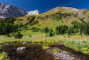 ����, ������, �����, �������, ������, �������