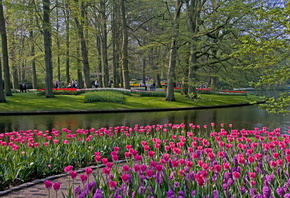 Keukenhof Lisse Netherlands,  