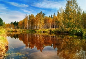 �����, ������, �������, ���, ����