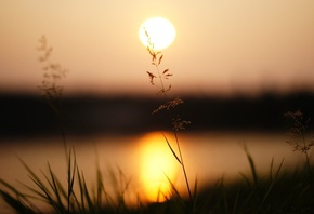 �����, ������, �����