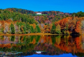 �����, ���, ���������, �����