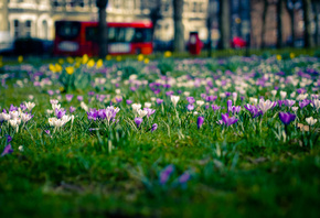 ������, �����, �������, ������, �����, �����