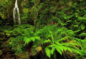 ������ �����, ����������, �������