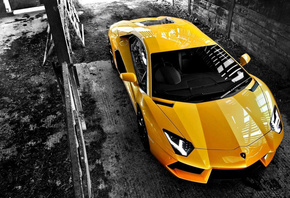 Lamborghini, yellow