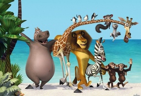 зебра, три, новый, мадагаскар, new, мультфильм, Madagascar 3