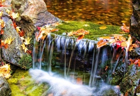 �����, �������