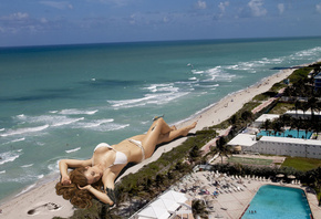 ���������, 1