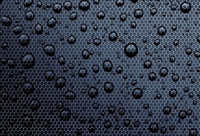 �����, �����, ��������, �����