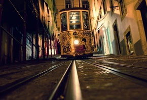 ������, �������, ����, ����