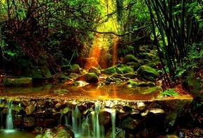 �������, ���, ����, �����