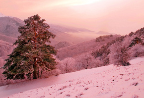 ����, ����, �����, �����, �������, ��������