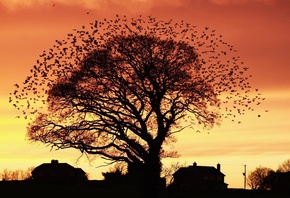 ������. �� ������, �����, ����, ����, �����