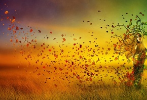 �������, ������� ���, �����, ������ �� �����, ���������