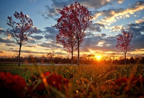 �����, ������, �������, ����� �����, �������