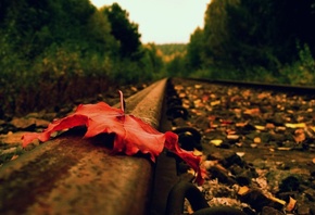 ������� ����, ������, �������� ������, �����