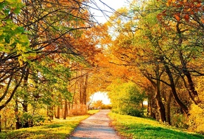 ����� ������� ����, ������ �����, ����� �������