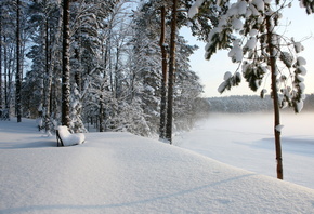 ����, ������, ����, ���