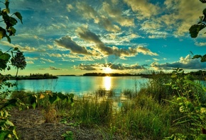 ����, ������, ������, ������, ������