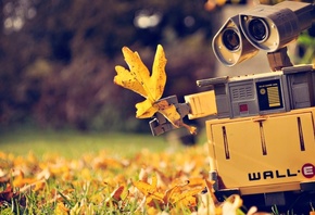 ������� ������, Wall-e, �����