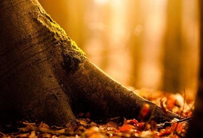 �����, ������, � ����, ������, ����� ������, �������� �����, ��������