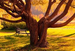 ������� ��������, �����, �������, ����� ����, �����