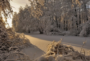 �������, ���, ����, ����